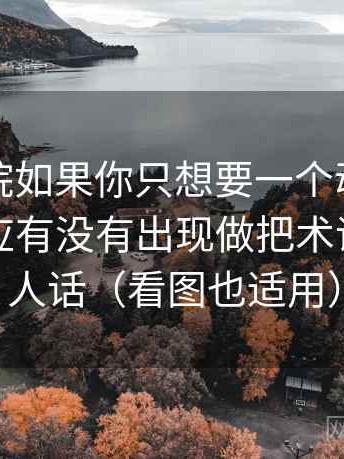 努努影院如果你只想要一个动作：对回声效应有没有出现做把术语翻译成人话（看图也适用）
